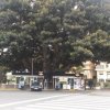 20141128_133253